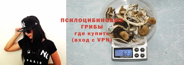мяу мяу мука Магадан