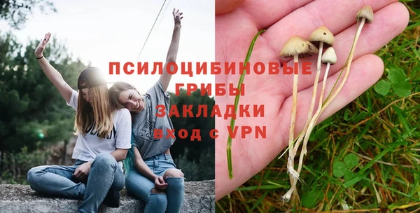 альфа пвп Медвежьегорск