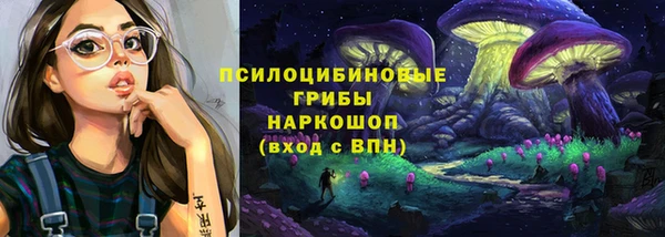 альфа пвп Медвежьегорск