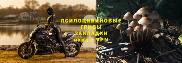 мяу мяу мука Магадан