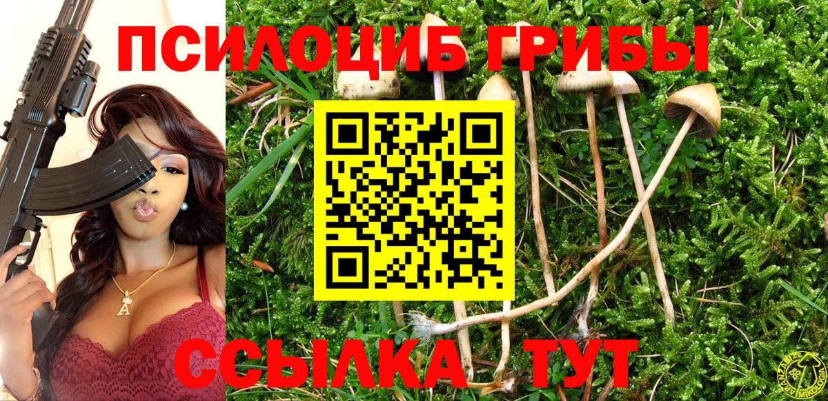 Малгобек  Псилоцибиновые грибы MAGIC MUSHROOMS  Вход с VPN 