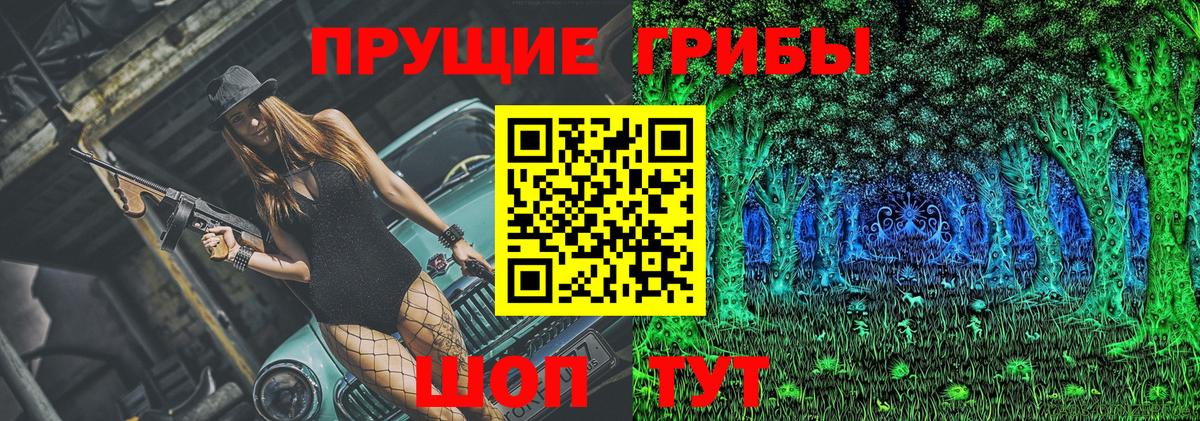 Галлюциногенные грибы прущие грибы Малгобек