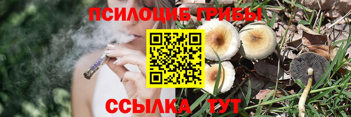 Псилоцибиновые грибы Magic Shrooms  даркнет сайт  Малгобек 